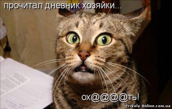 Приколы онлайн: Подборка прикольных фраз