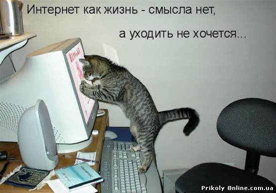 Смешные приколы: СМЕШНЫЕ СМС
